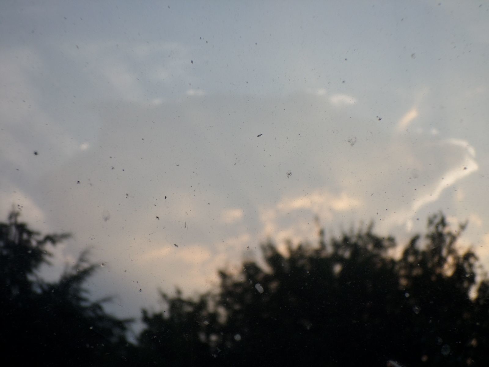Storm Pictures