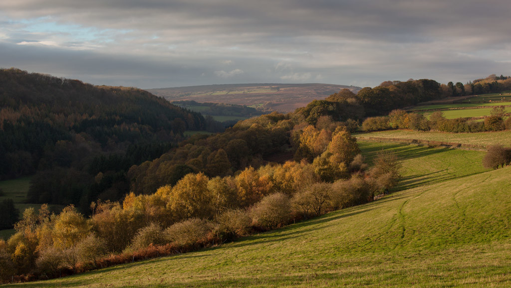 Other Landscapes