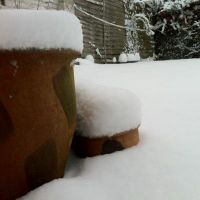 snowking