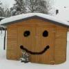 shedhead