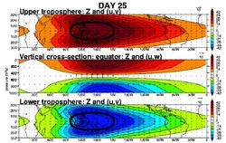 1971785640_Kelvin-RossbywavereponsetoMJODay25.thumb.jpg.deb041b7e470f3a2c0cda65c59ea66b9.jpg